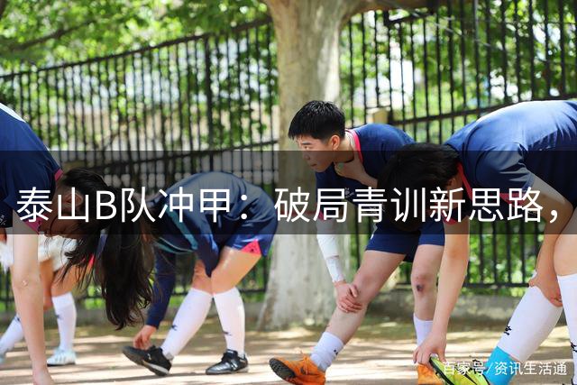 泰山B队冲甲：破局青训新思路，俱乐部迎来转型契机