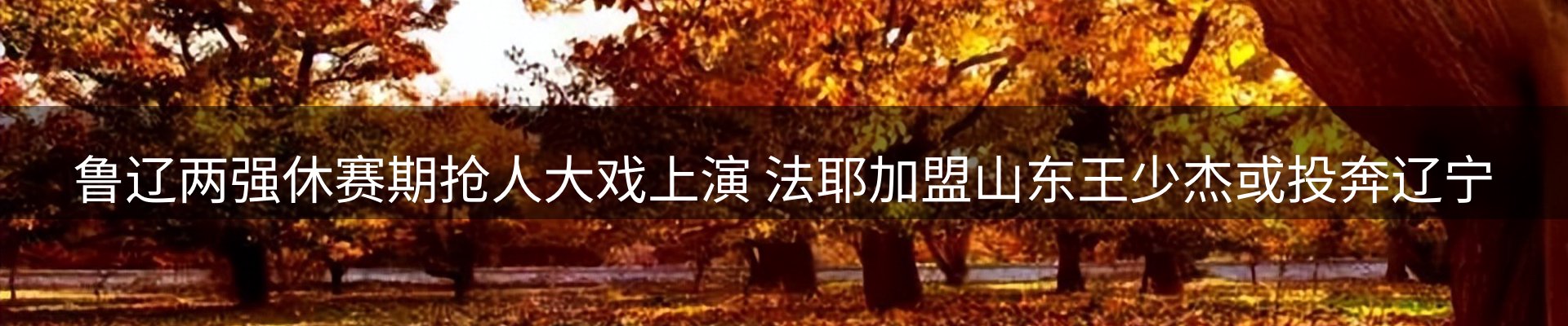行业资讯